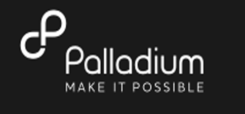 Our Partner PALLADIUM Capture1